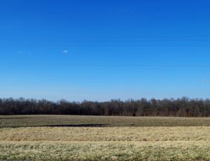 23 Acres, New Florence, Montgomery County, MO