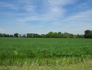 68 Acre Property, New Florence, Montgomery County, MO