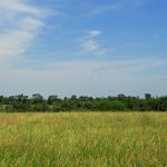 8 Acres, Mette Rd, Moscow Mills, Lincoln County, MO