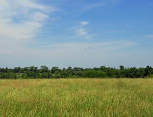 8 Acres, Mette Rd, Moscow Mills, Lincoln County, MO