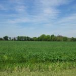 68 Acre Property, New Florence, Montgomery County, MO