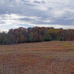 16 Acres, Winfield, Lincoln County, MO