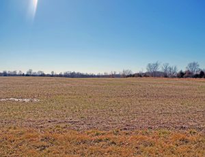 41 Acres, Troy, Lincoln County, MO