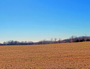 Cheatham Farm Estates, Troy, Lincoln County, MO
