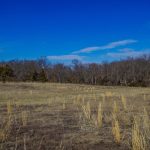 33 Acres, Frankford, Pike County, MO