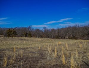 33 Acres, Frankford, Pike County, MO